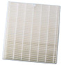 Image of a True HEPA Filter